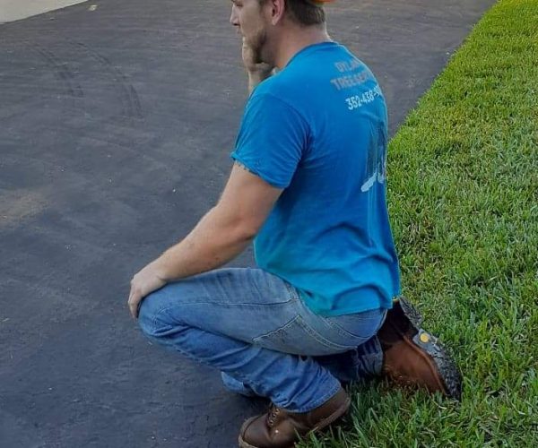 received_665367554255376