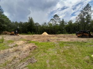 Commercial Tree Removal in Ocala, FL