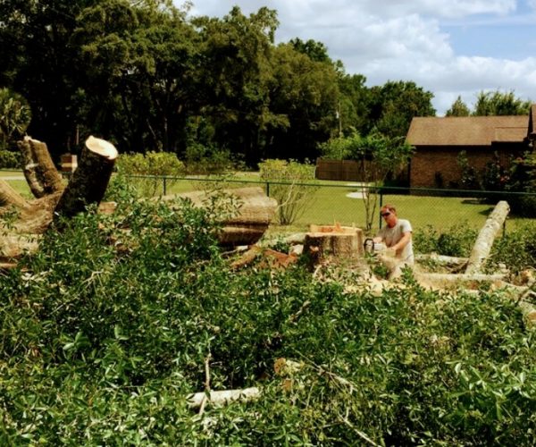 Screenshot 2025-02-05 101741