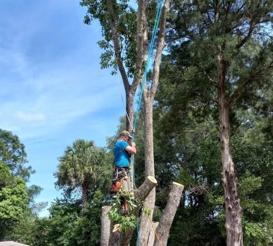 Screenshot 2025-02-05 102355